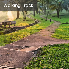 walking track
